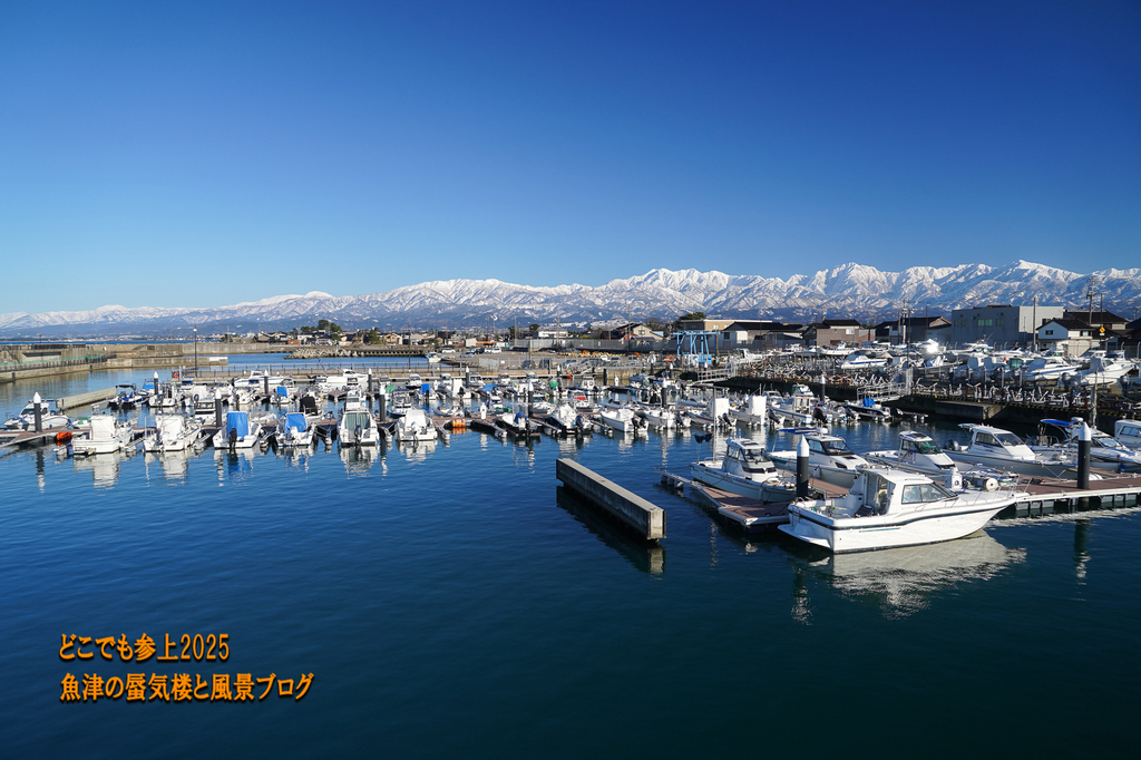 DSC09279.jpg