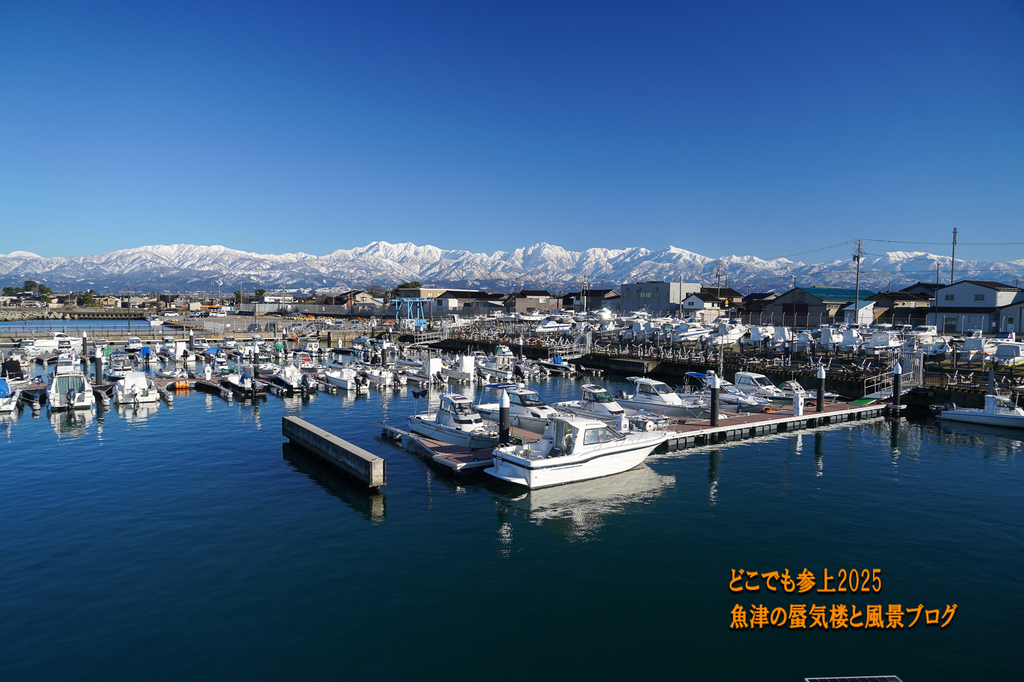 DSC09280.jpg