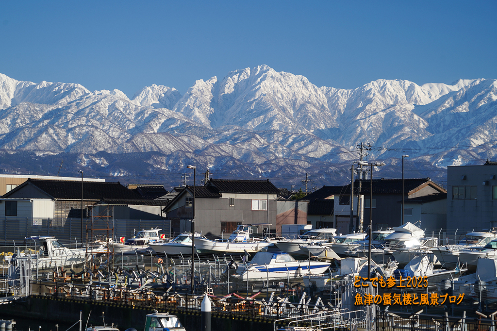 DSC09283.jpg