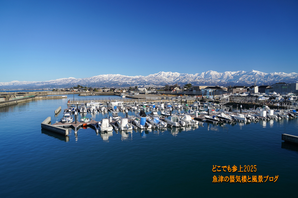 DSC09287.jpg