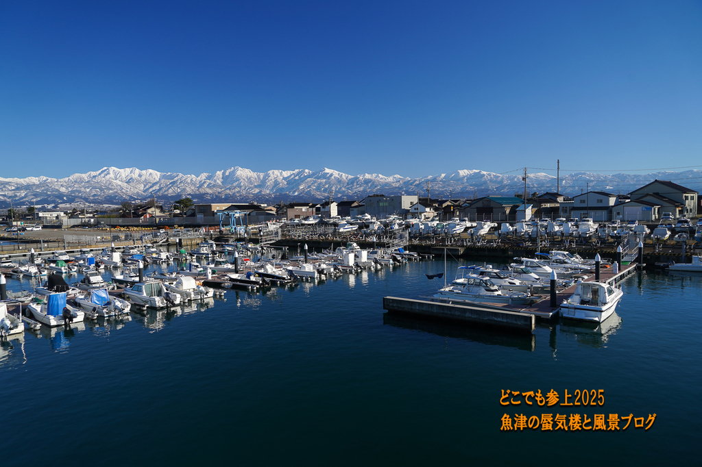 DSC09289.jpg