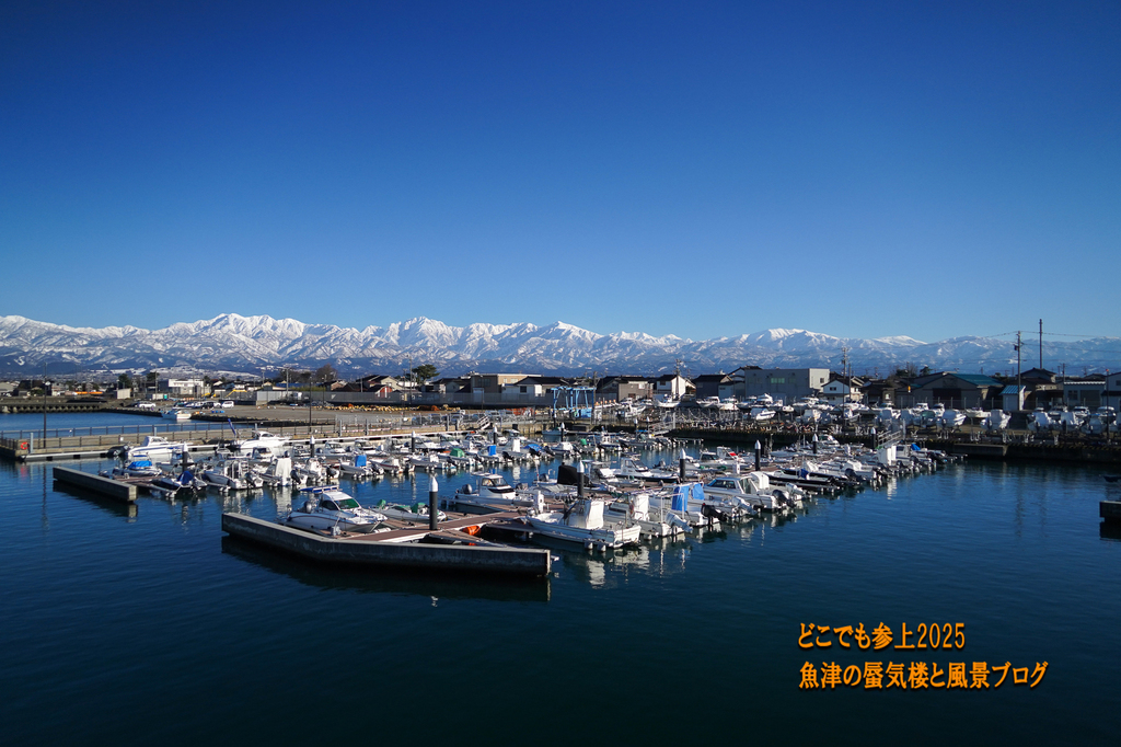 DSC09301.jpg