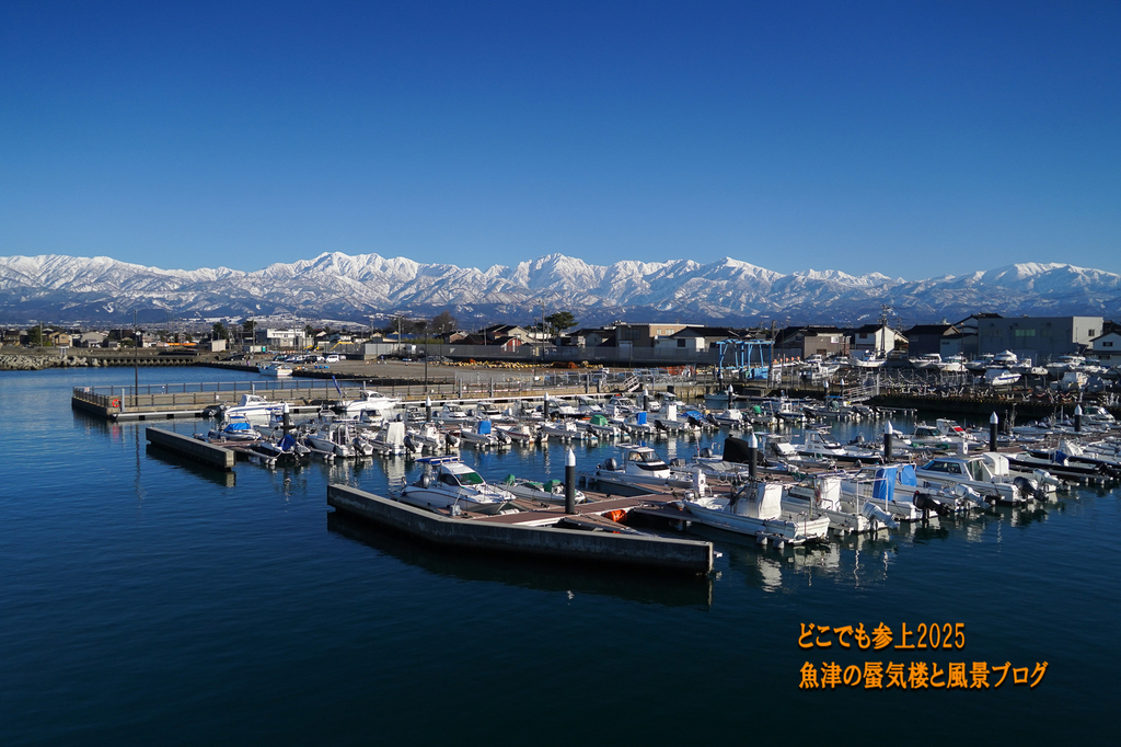DSC09305.jpg