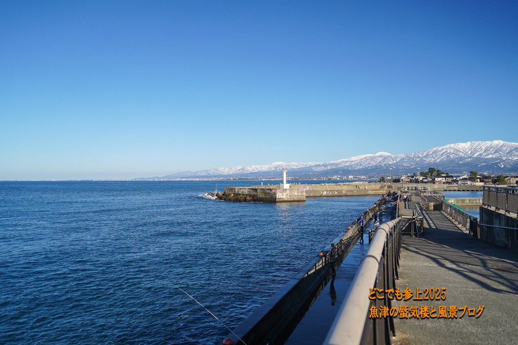 DSC09309.jpg