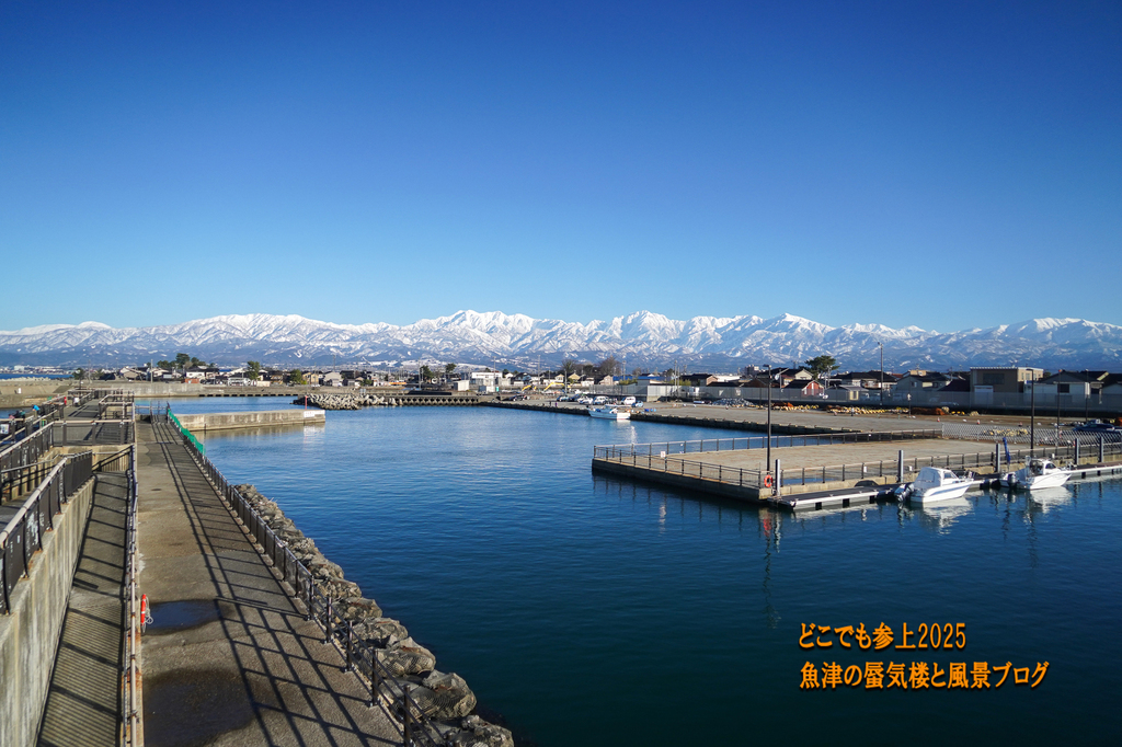 DSC09310.jpg
