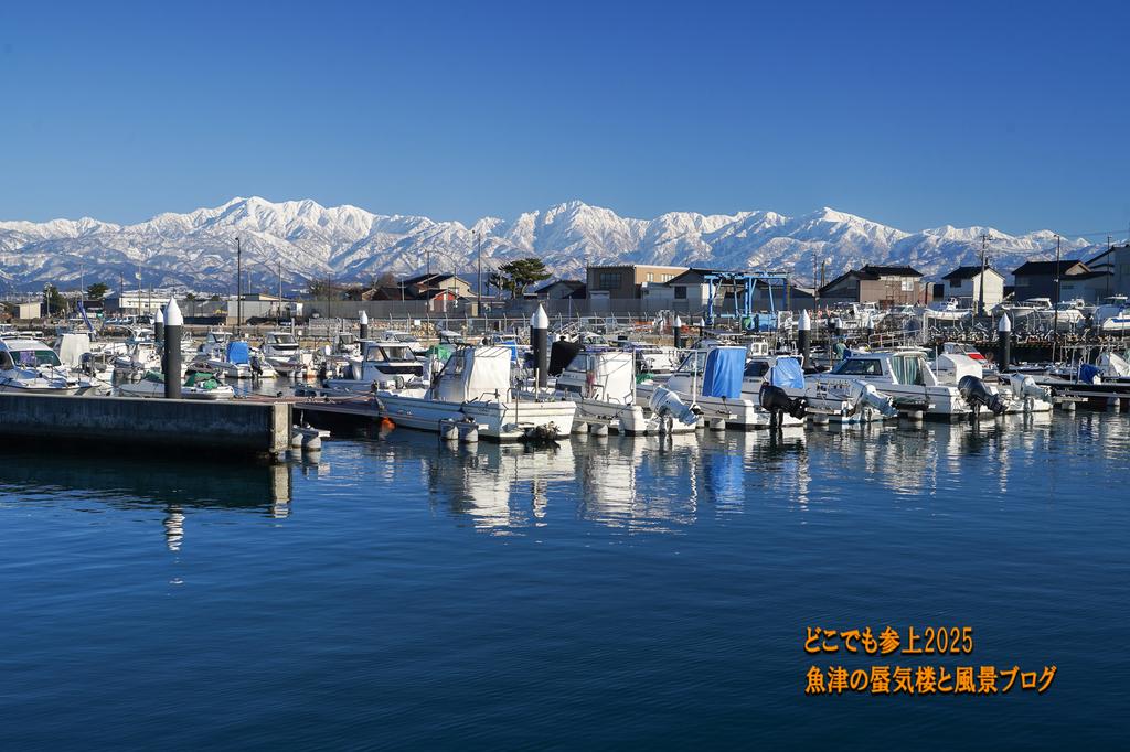 DSC09317.jpg