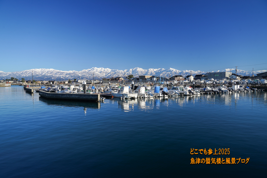 DSC09318.jpg
