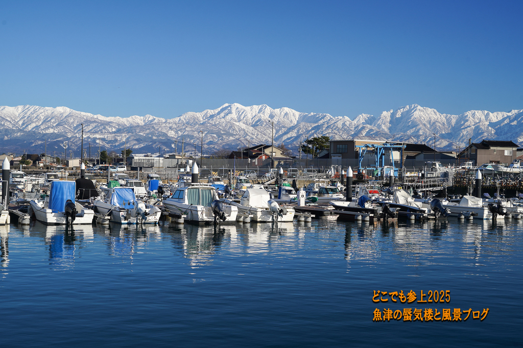 DSC09323.jpg