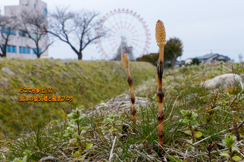 P1230321.jpg