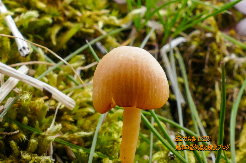 P1230339.jpg