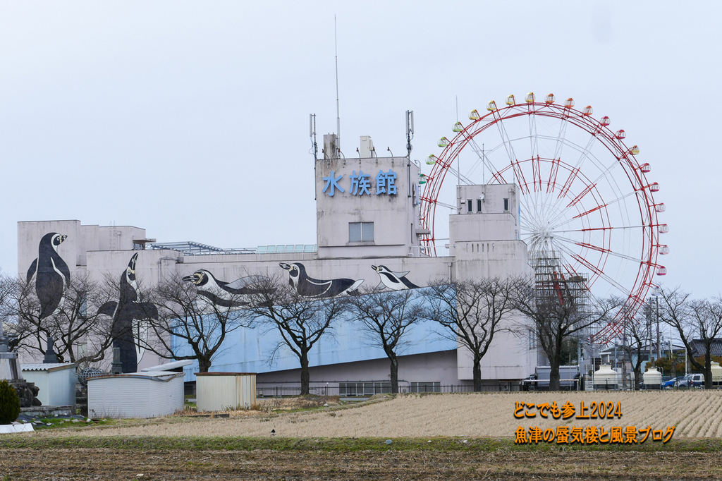 P1230344.jpg