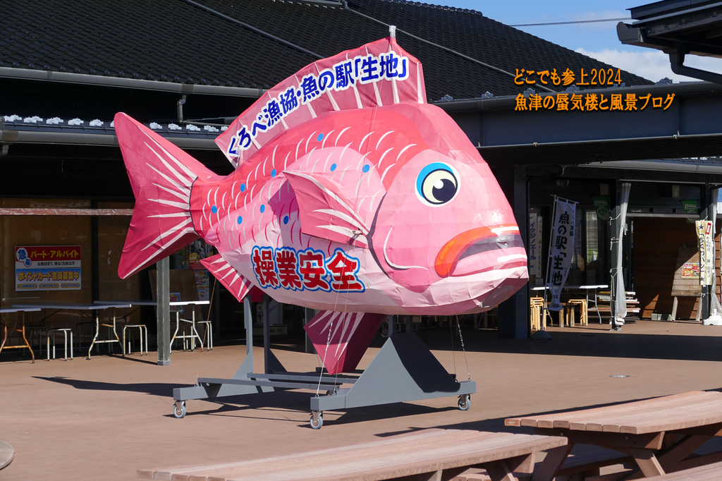 P1410337.jpg
