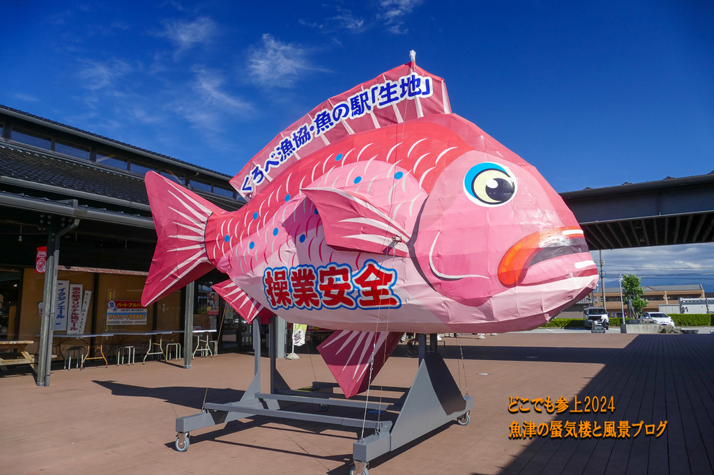 P1410339.jpg