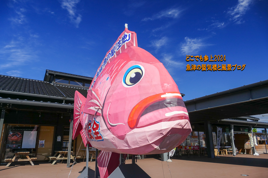 P1410341.jpg