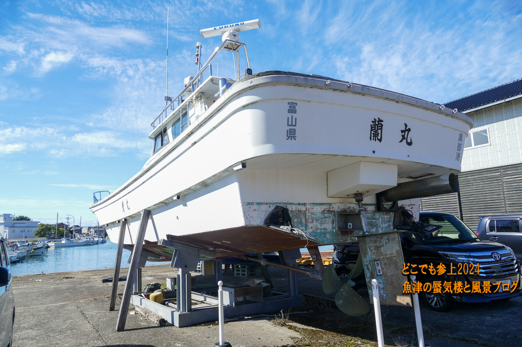 P1410349.jpg