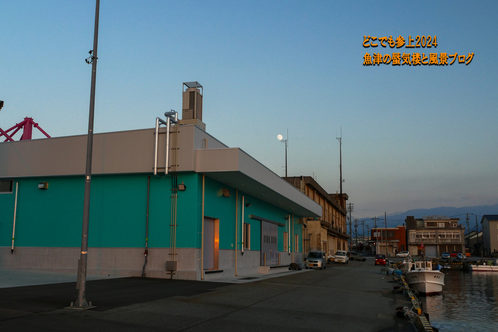 P1440424.jpg