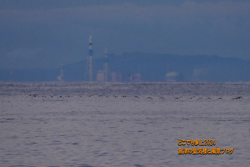 P1450547.jpg