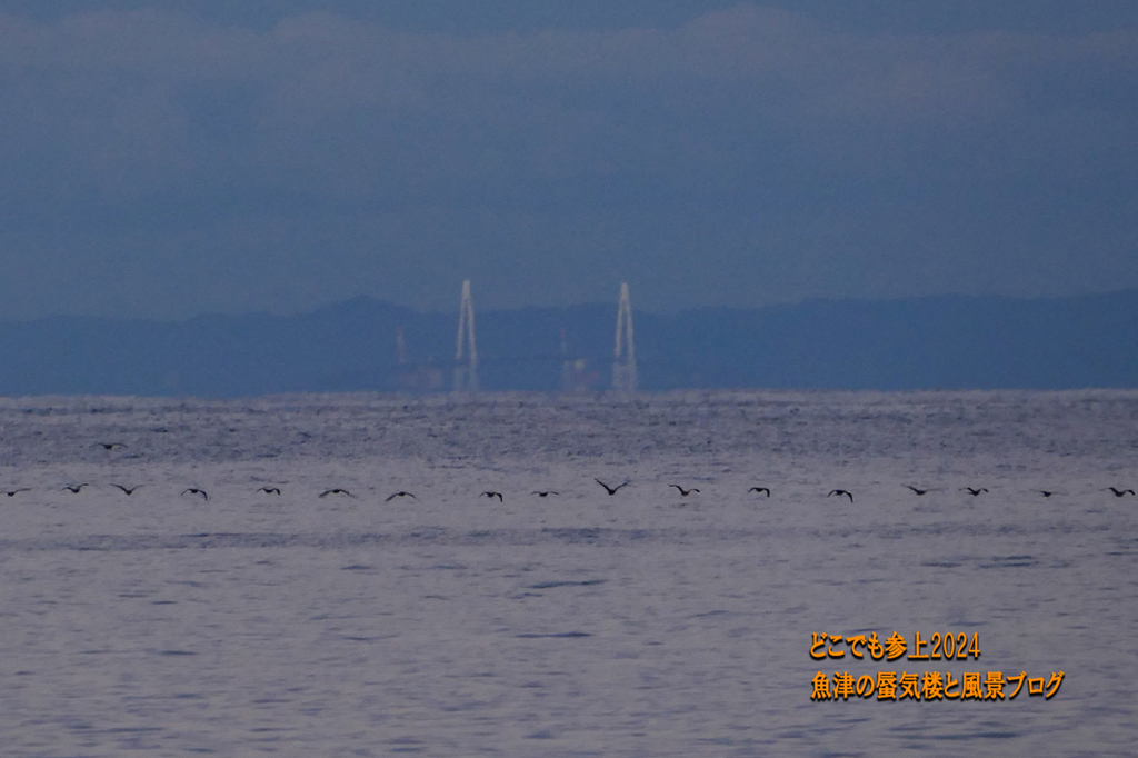 P1450551.jpg