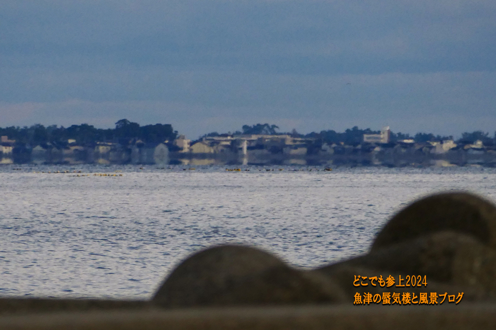 P1450616.jpg