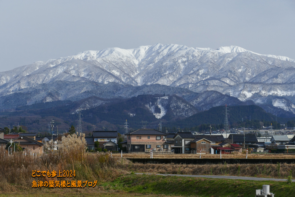P1480342.jpg