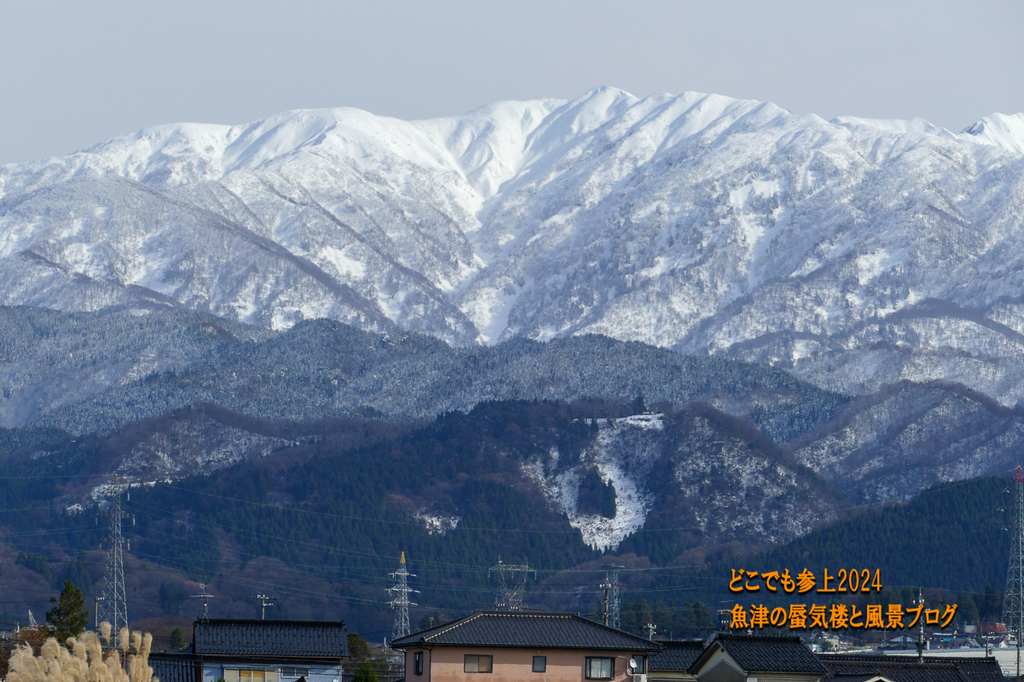 P1480351.jpg