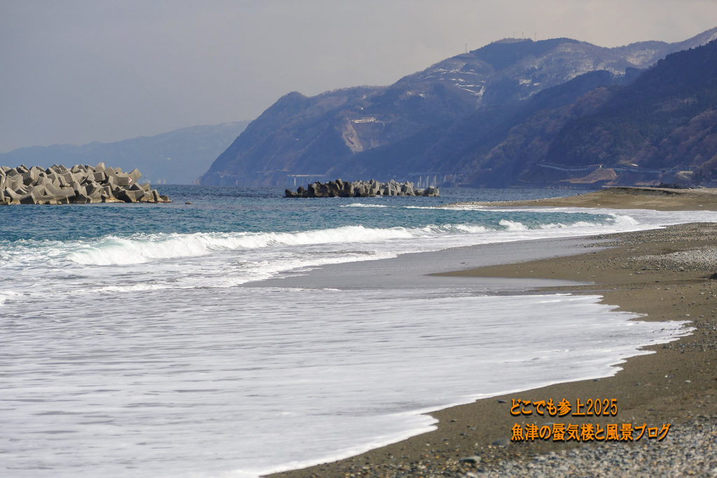 P1520515.jpg