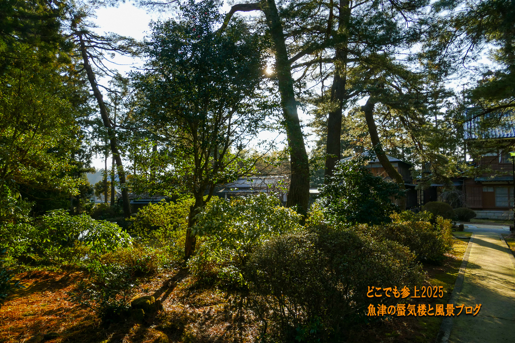 P1530218.jpg