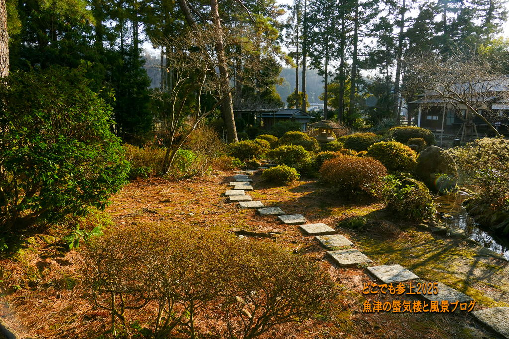P1530219.jpg