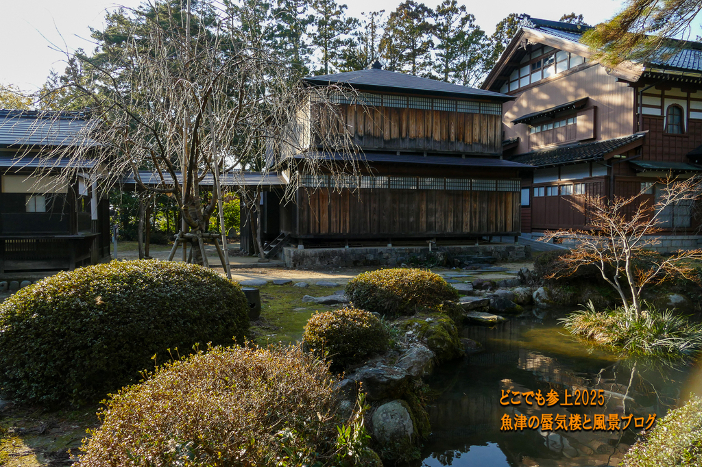 P1530225.jpg