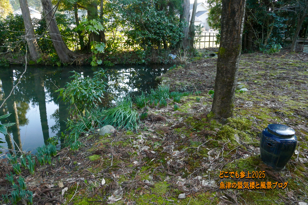 P1530234.jpg