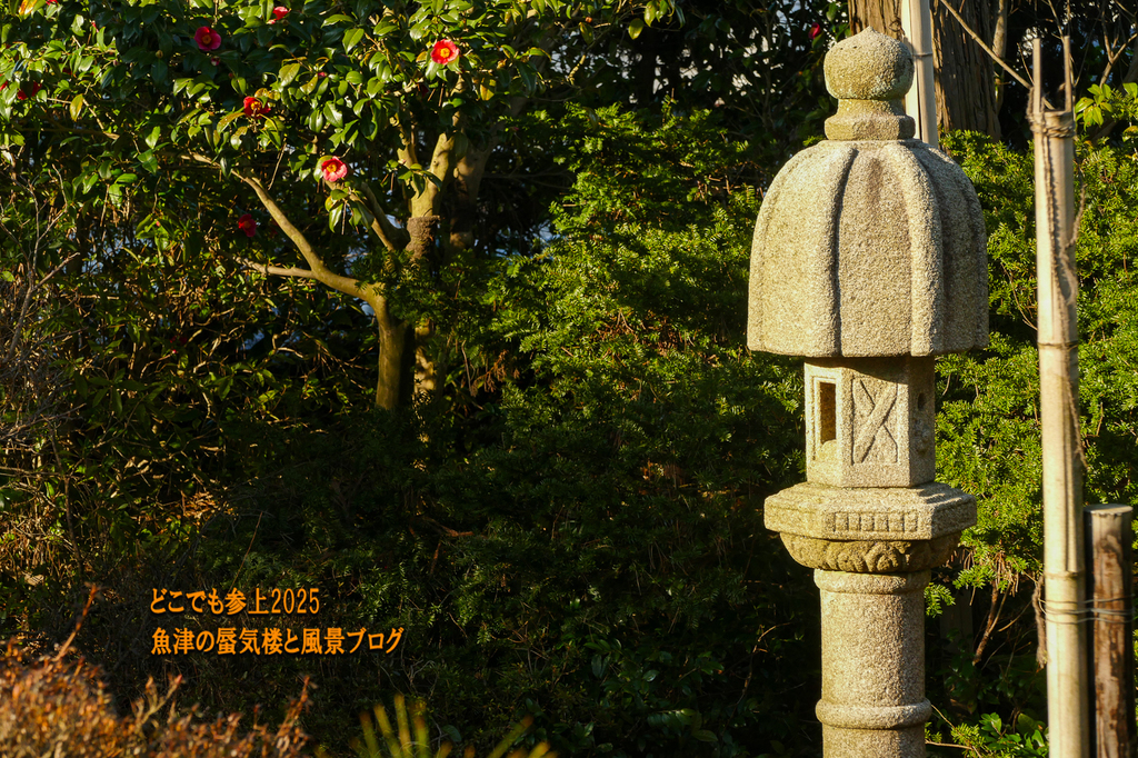 P1530283.jpg