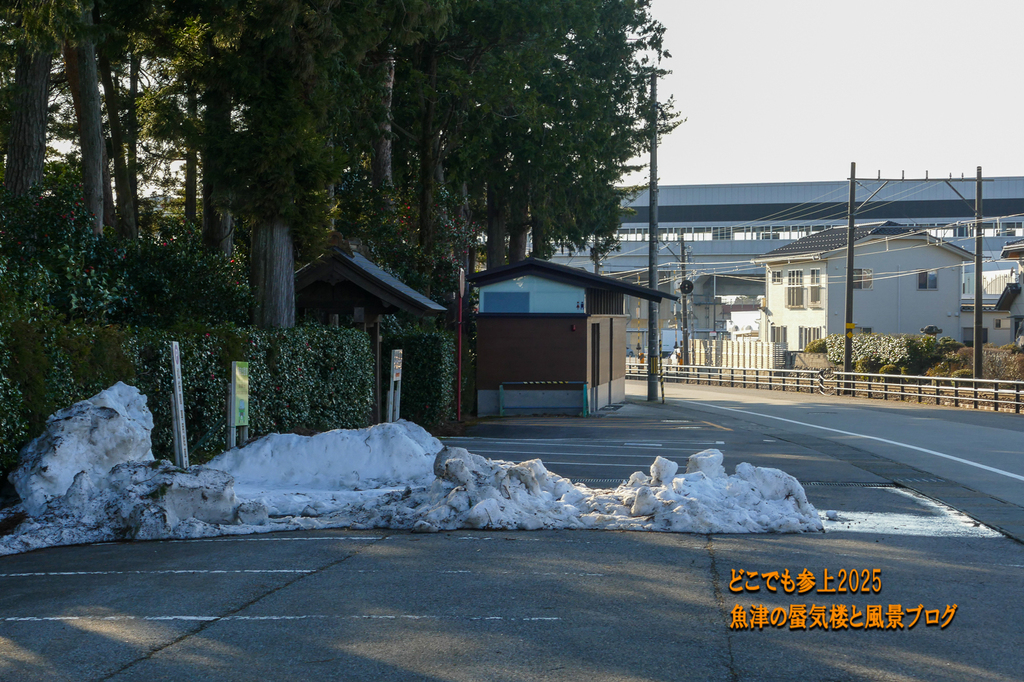 P1530291.jpg