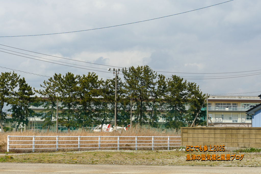 P1530752.jpg