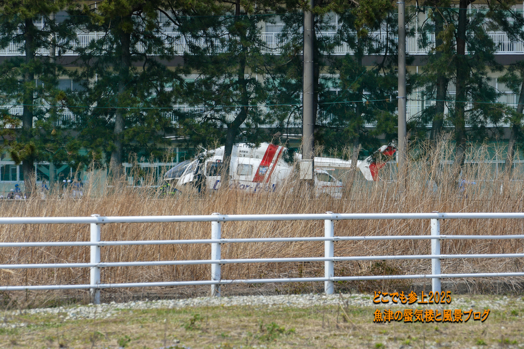 P1530855.jpg