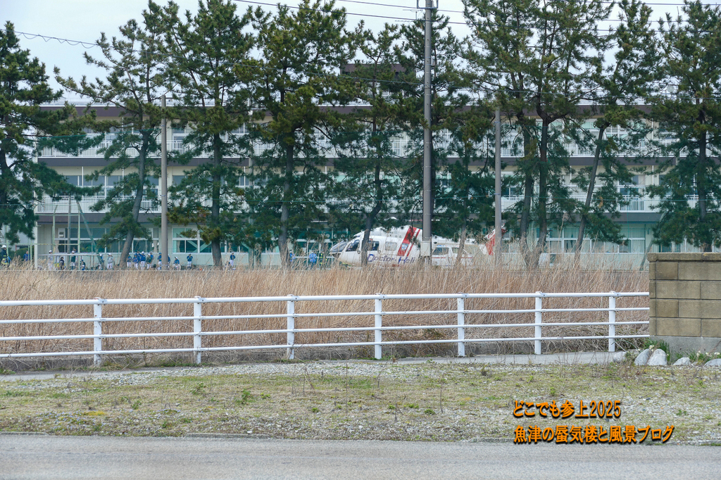 P1530900.jpg