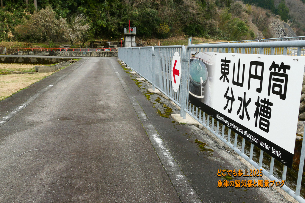 P1540993.jpg