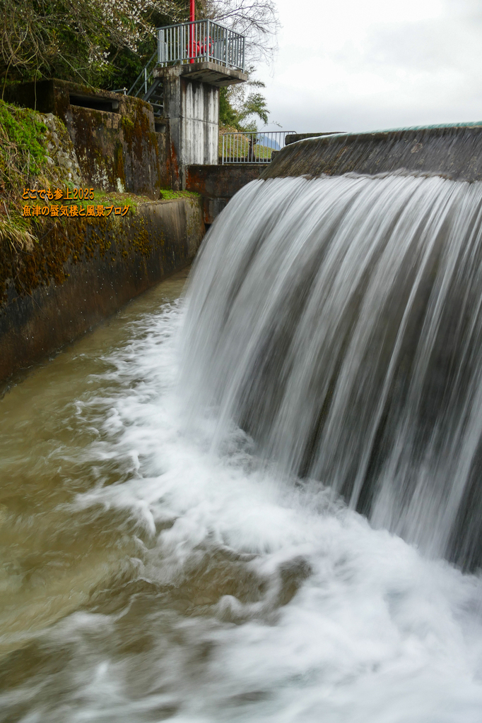 P1550015.jpg