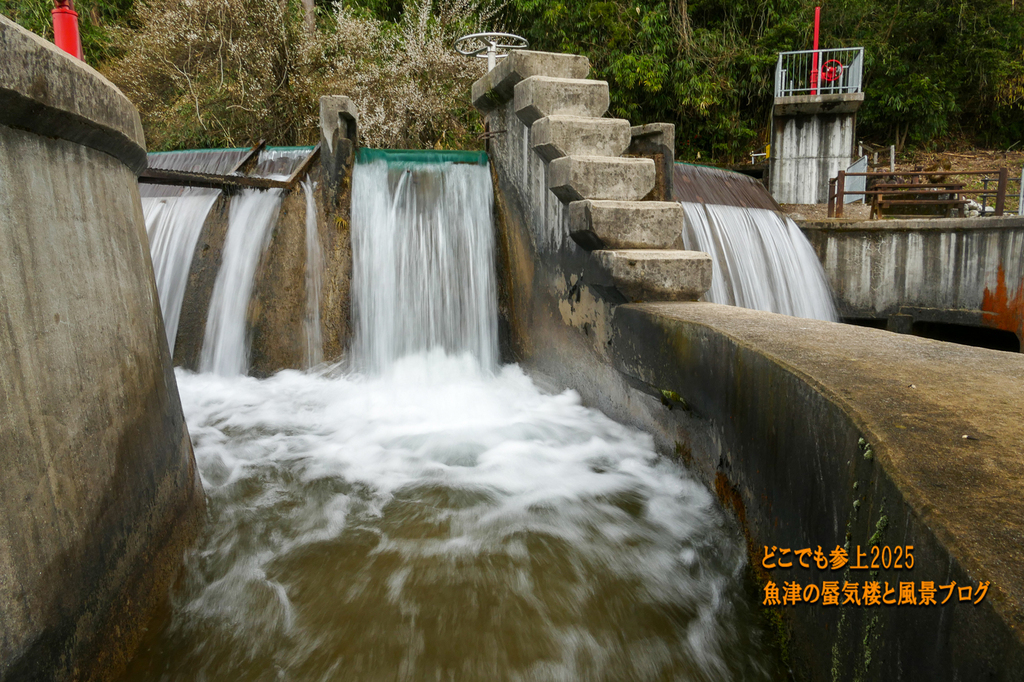 P1550042.jpg