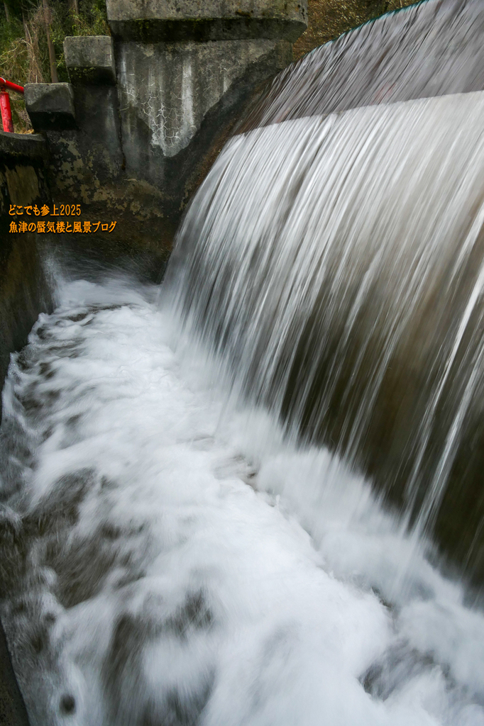 P1550177.jpg
