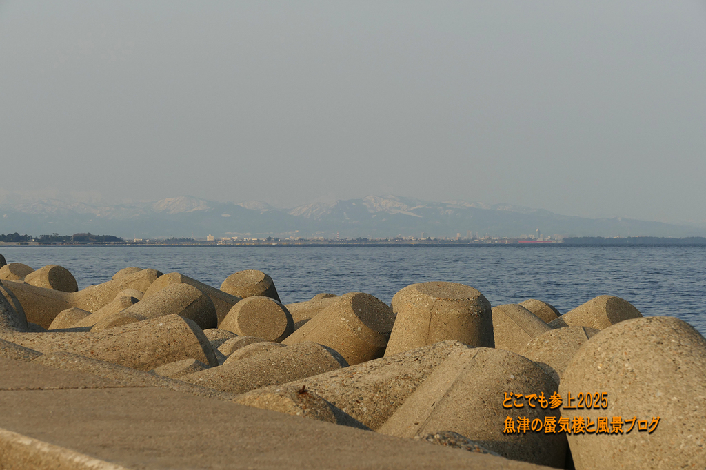 P1560245.JPG