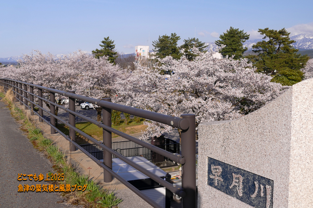 P1560586.jpg