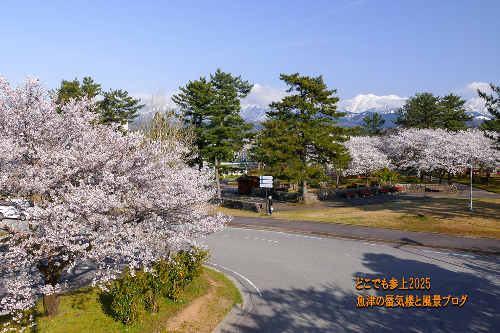 P1560604.jpg