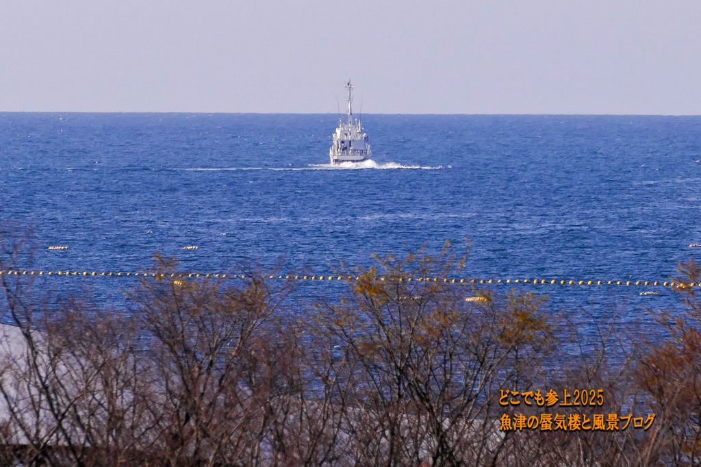 P1560661.jpg