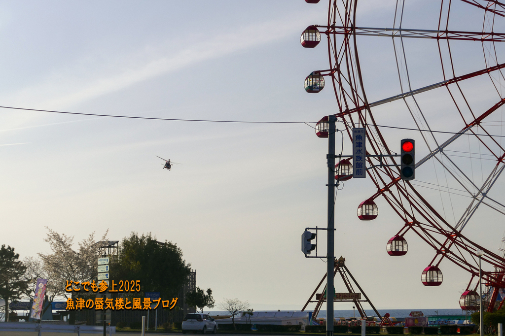 P1560677.jpg