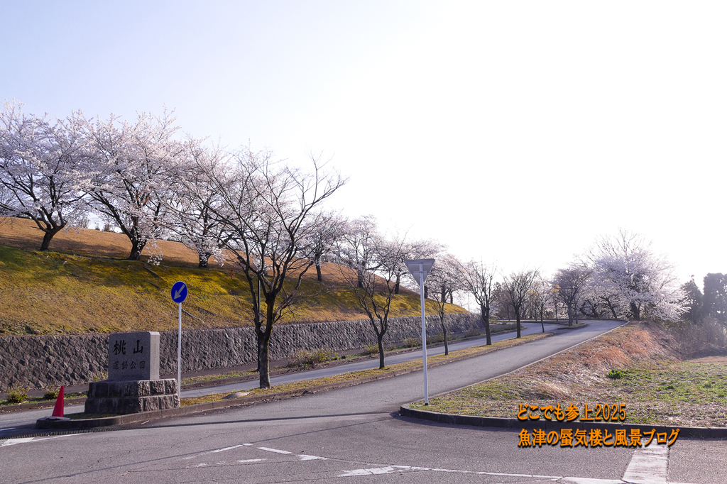 P1560686.jpg