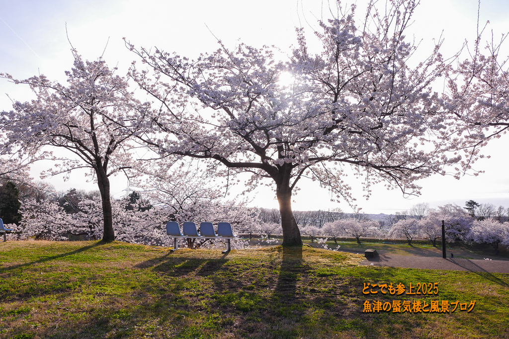 P1560738.jpg