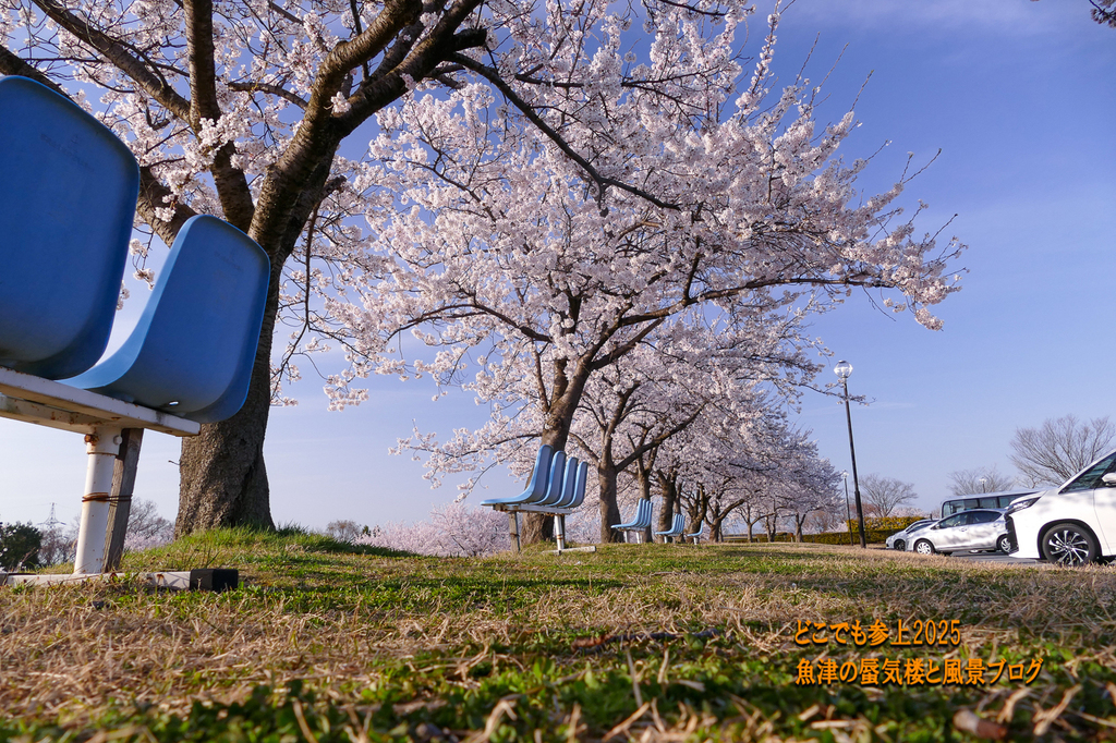 P1560774.jpg