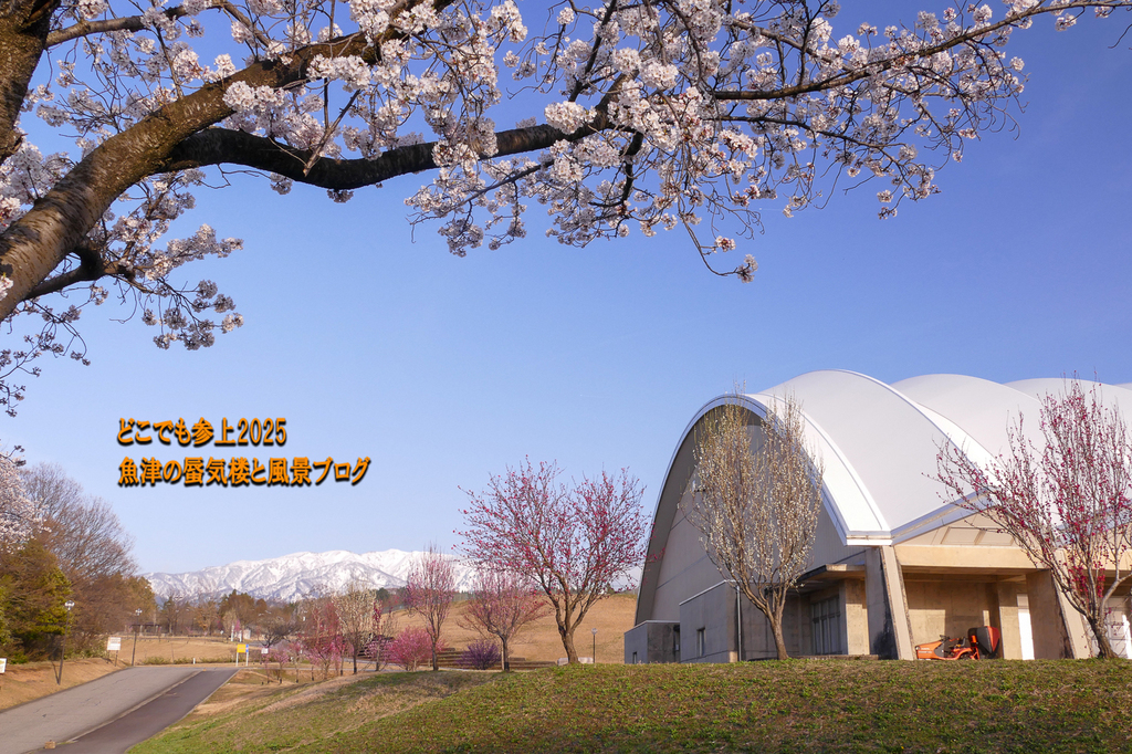 P1560820.jpg