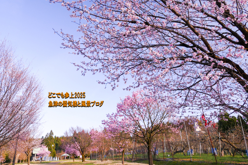 P1560844.jpg