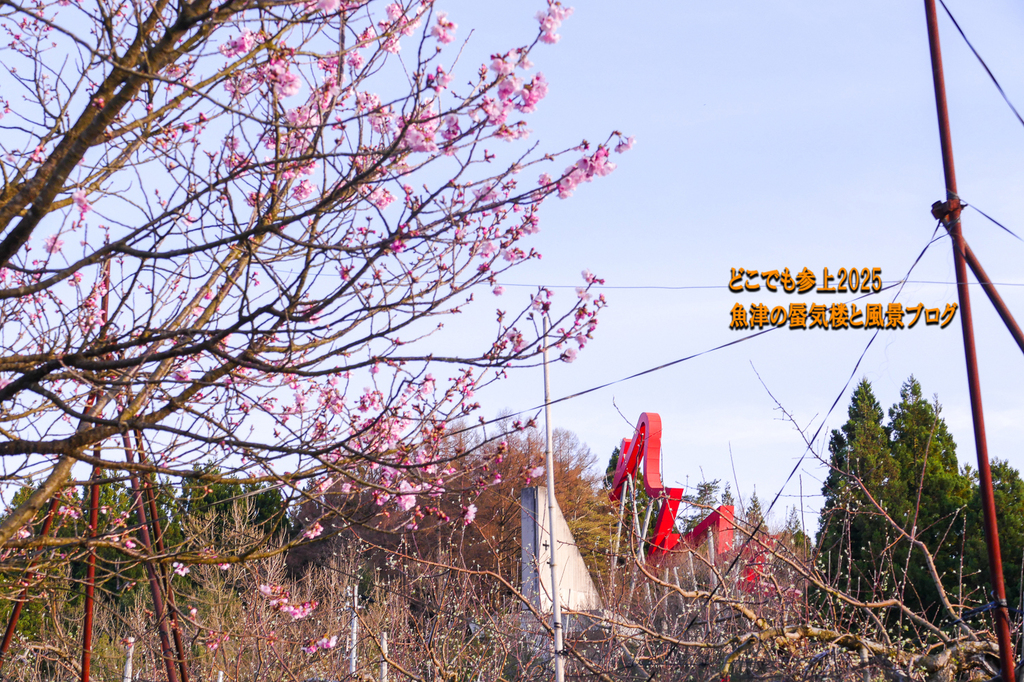 P1560853.jpg